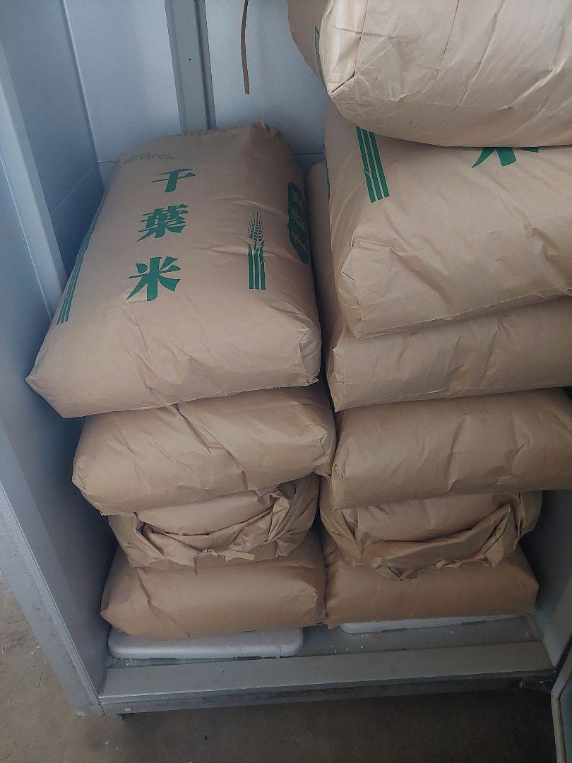 令和6年　千葉県産コシヒカリ30kg 玄米