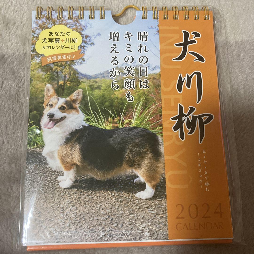 未開封品・犬川柳・コーギー川柳・週めくりカレンダー・2024