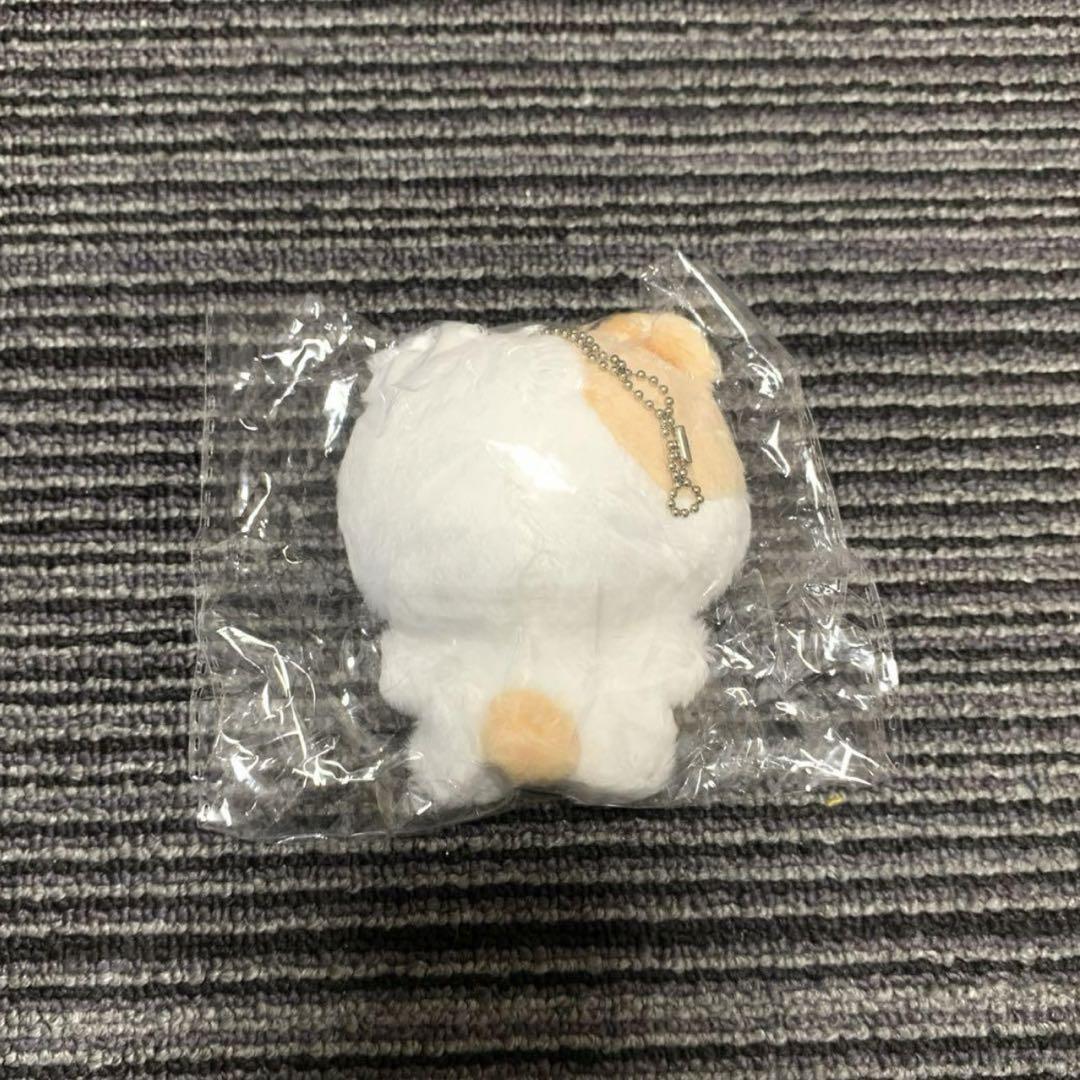 本格派ま！ enhpyen ヒスン ぬいぐるみ 10cm 新品 マスター セブチ svt その他