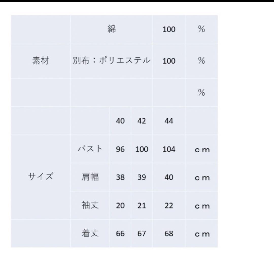 スーパービューティー♡ リボンレースデザインバックティアードチュニック スーパービューティー♡ リボンレースデザインバックティアード