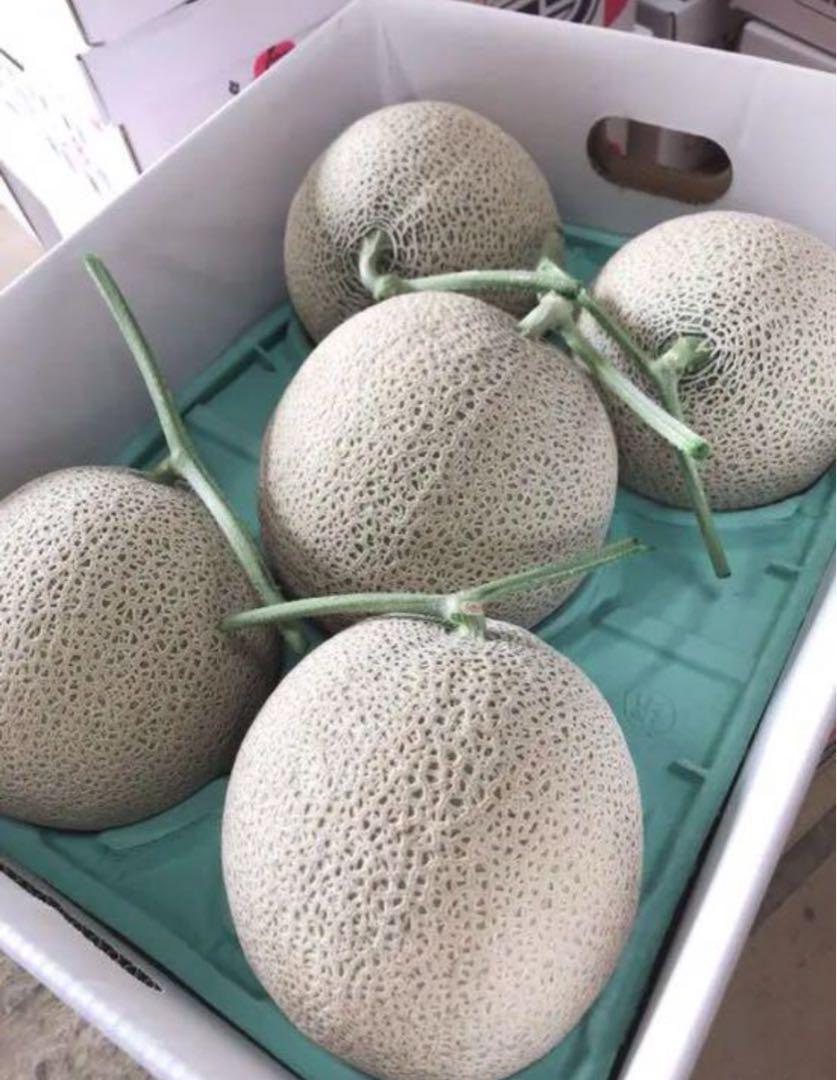 北海道富良野メロン