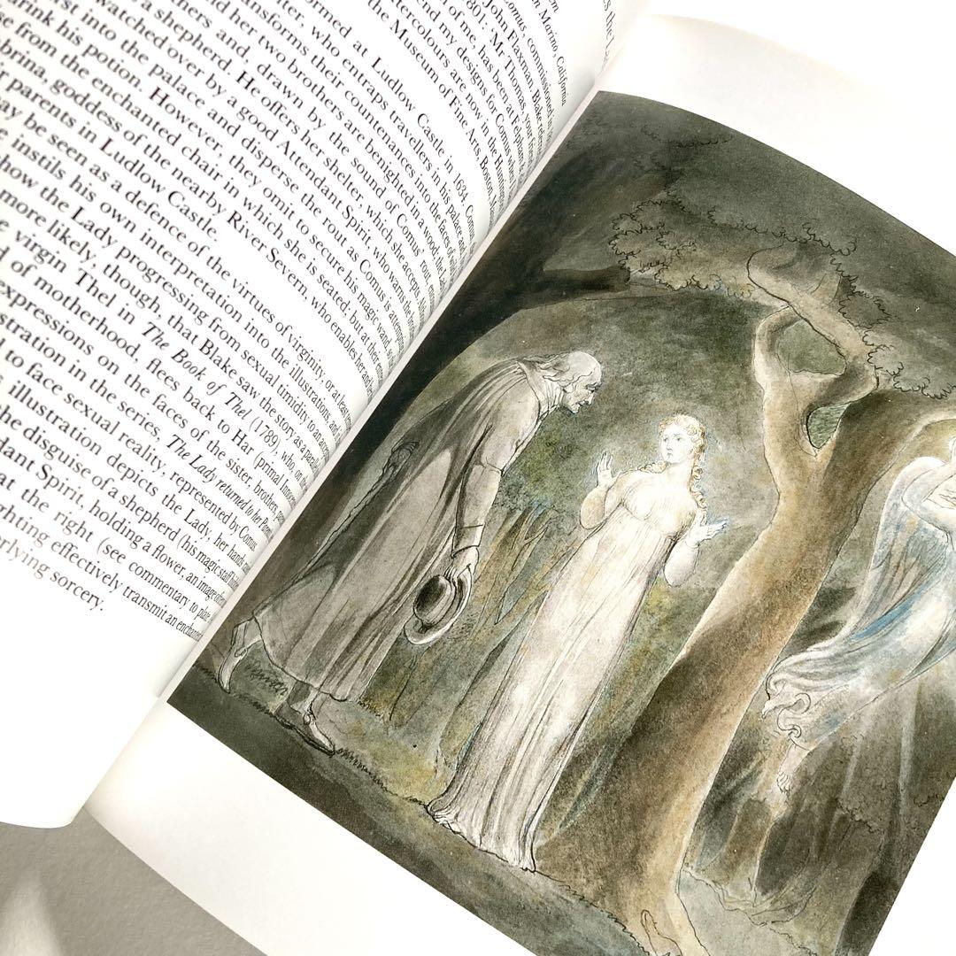 The Paintings of William Blake ウィリアムブレイク