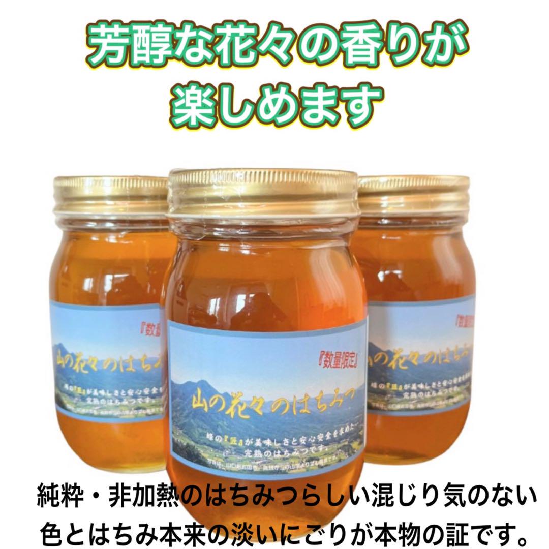厳選　非加熱国産はちみつ　600g×3瓶　即購入OK 純粋生はちみつ