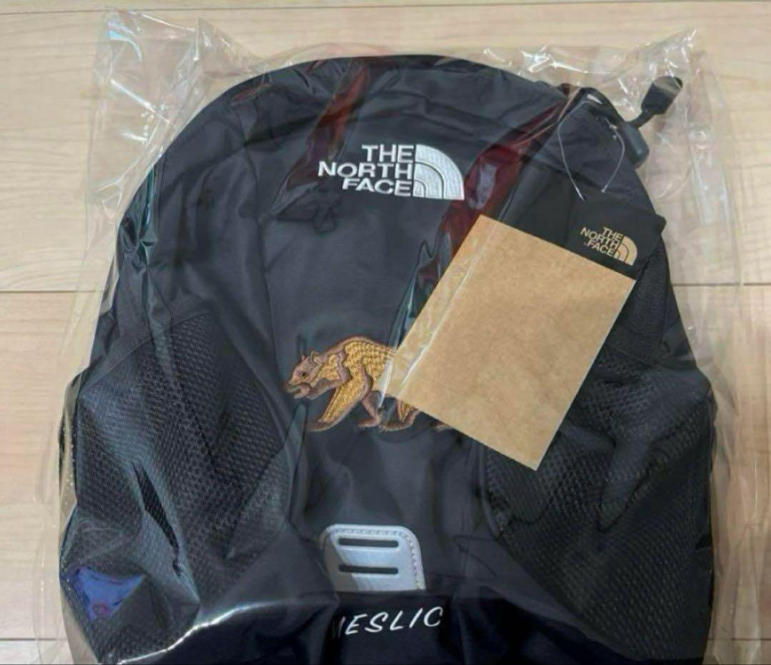 ノースフェイス　スモールデイ　新品未開封
