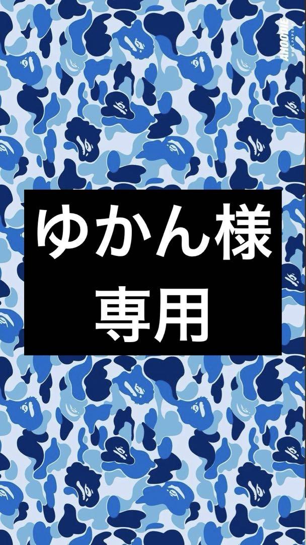 ゆかん マグネットおもちゃ セット