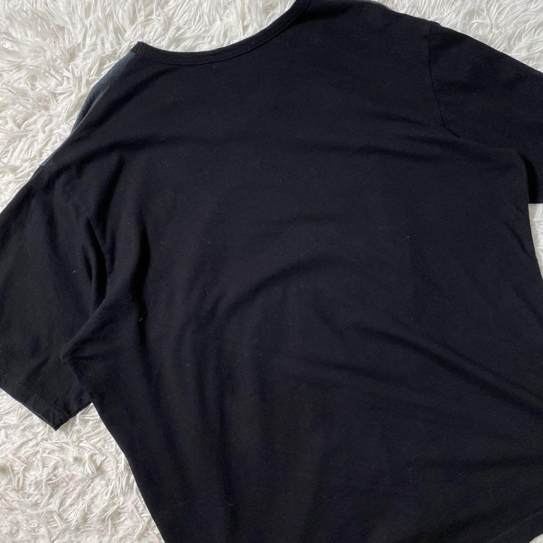 良品】ヨウジヤマモトプールオム Tシャツ 花図鑑 プリント