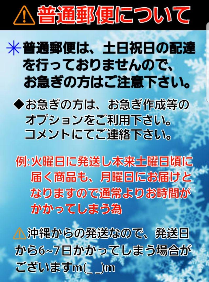 オーダーネイルチップ　推しネイル ラウールネイルチップ　フルオーダー受付中