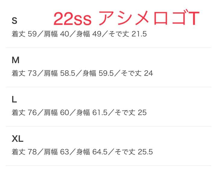 ノースフェイス　パープルレーベル BEAMS Japan別注 アシメロゴT XL ザノースフェイスパープルレーベル