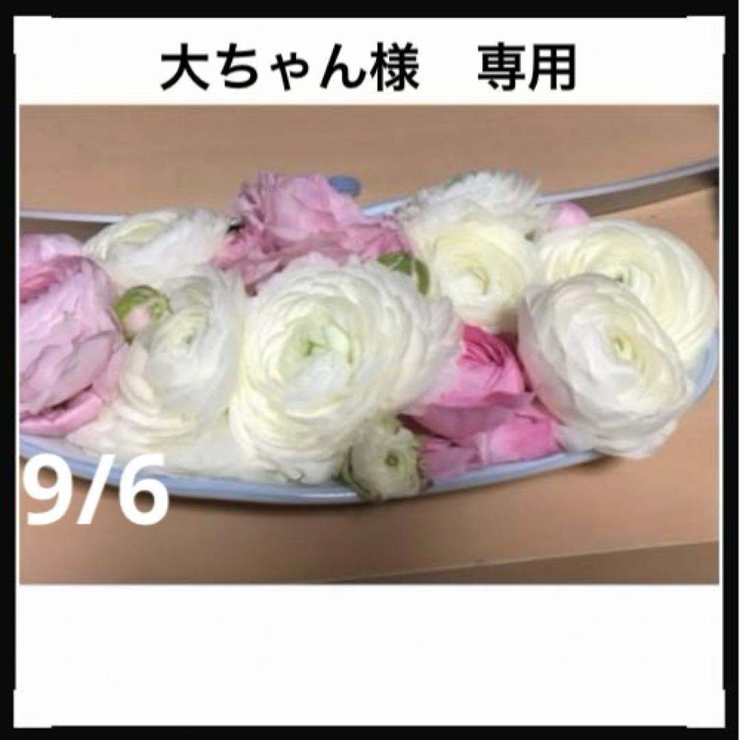 大ちゃん様　専用