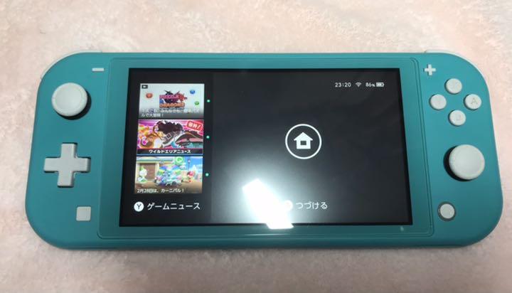 人気限定品 Nintendo Liteターコイズ&ハードケース セット PvFVu-m82953112072 Switch SALE得価
