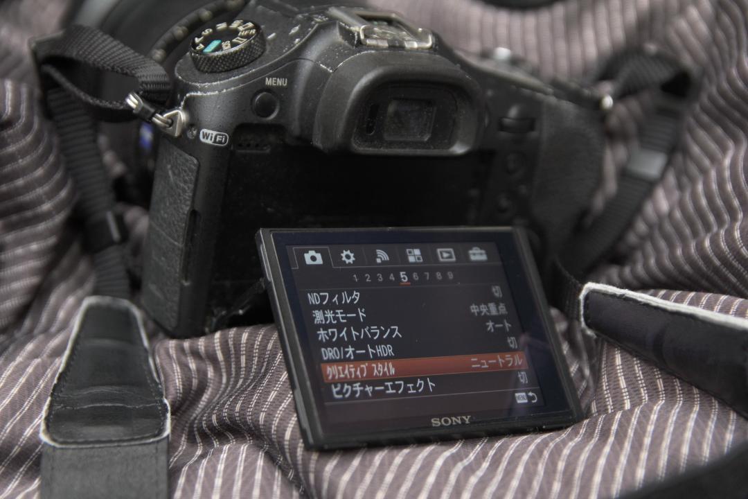 Sony RX10 markⅡ ソニー