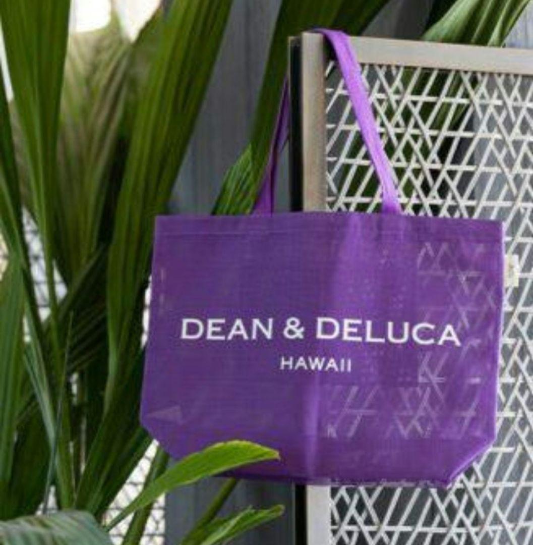 【新品タグ付き】Dean&Delucaハワイ 2025限定 メッシュトートバッグ