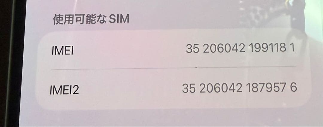 可 Apple iPhone 13 Promax 本体 WWW_OPDRERGINERDOGAN_COM