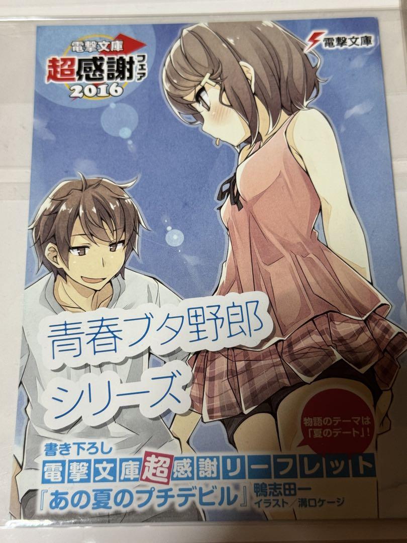 青ブタ　リーフレット　2016
