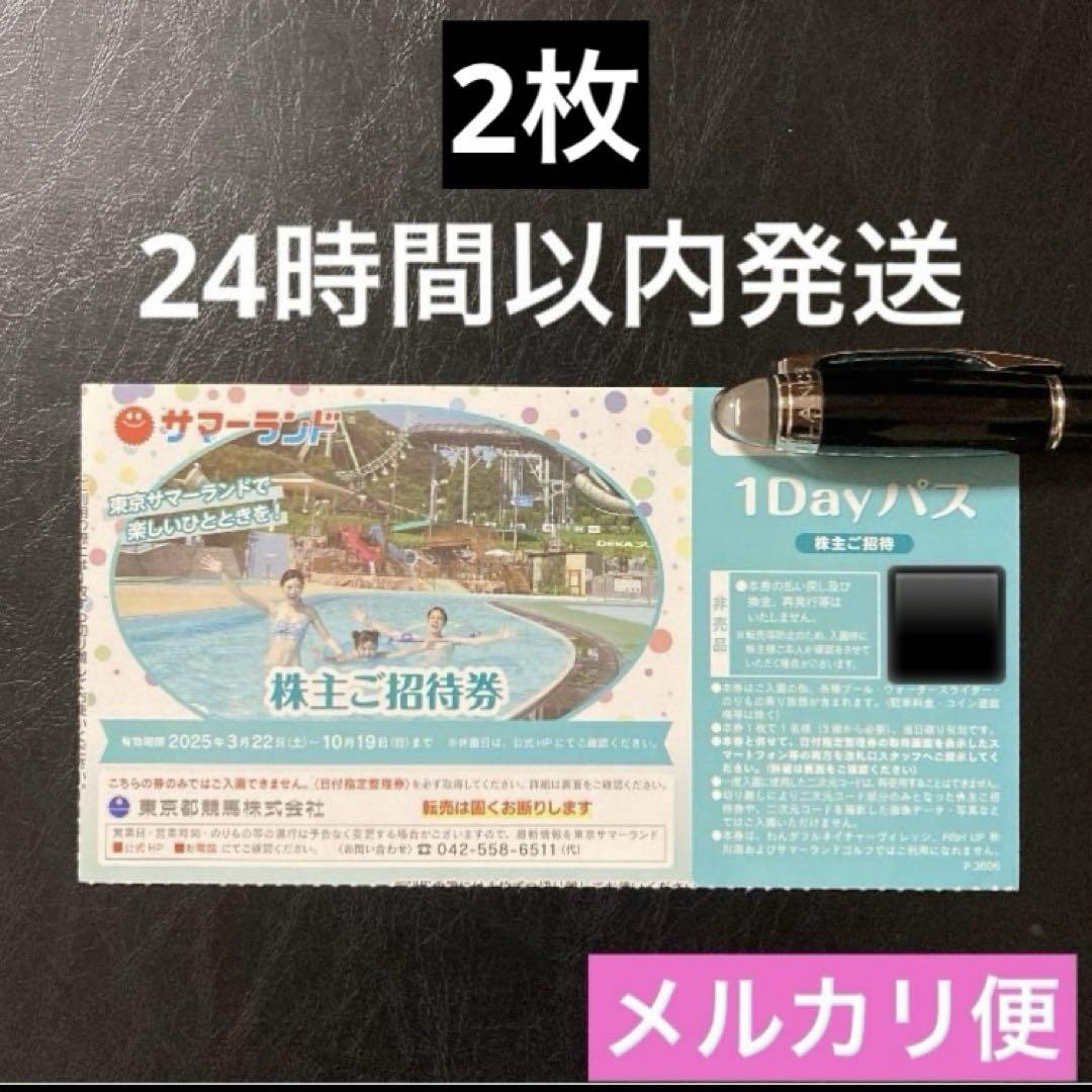 サマーランド 株主優待 フリーパス 2枚 D