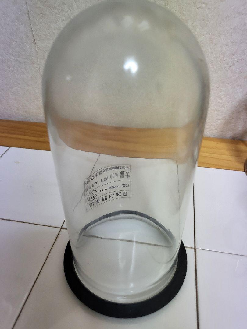 松本船舶電機製作所　マリンランプ１号デッキゴールド2個セット