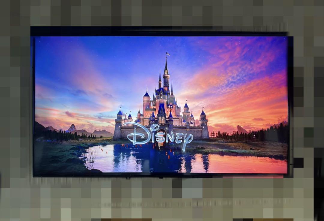 65インチ 4K モニター アイオーデータ　　LCD-M4K652XDB