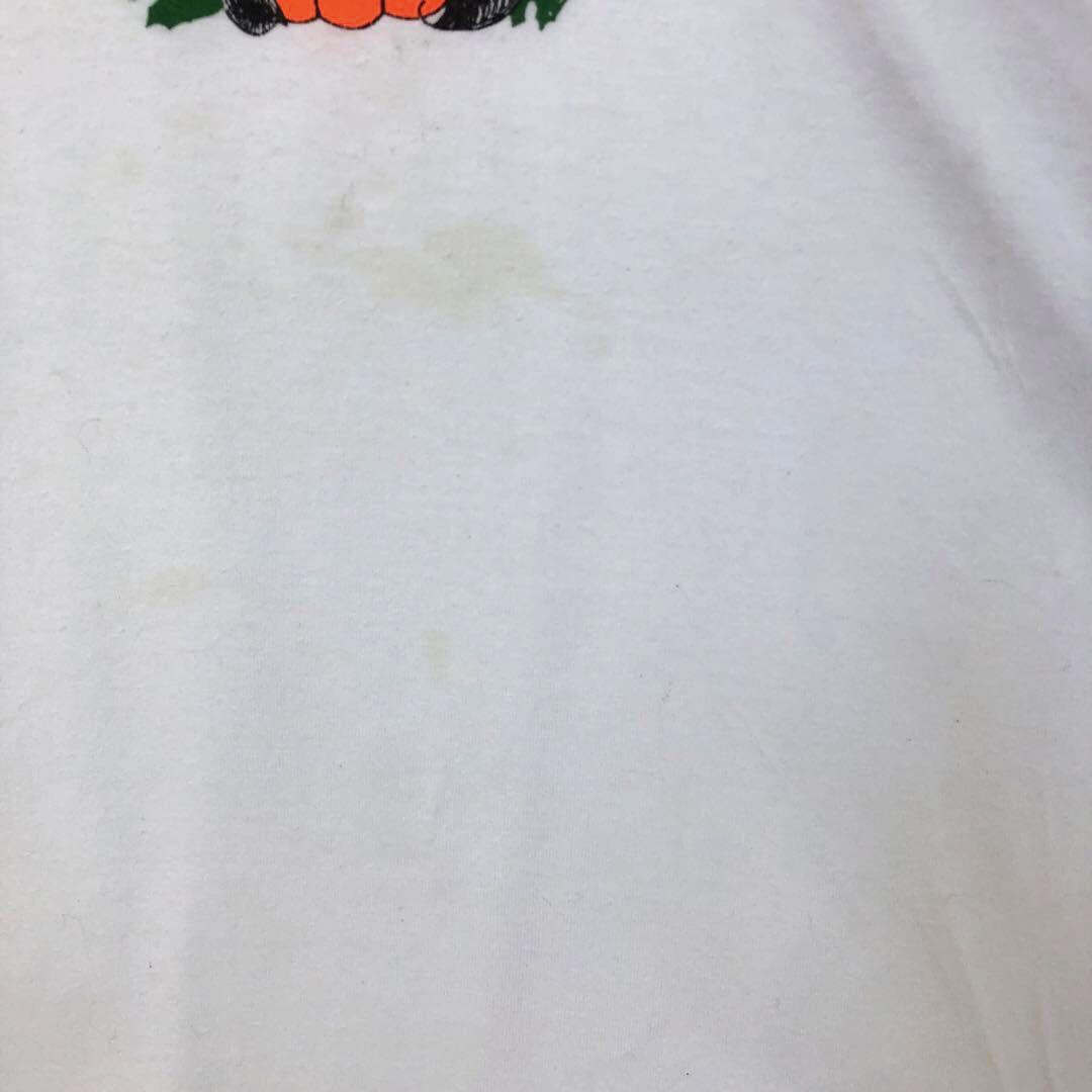 2743 90s シングルステッチ　YMCA パンプキン　ロゴ　Tシャツ　白