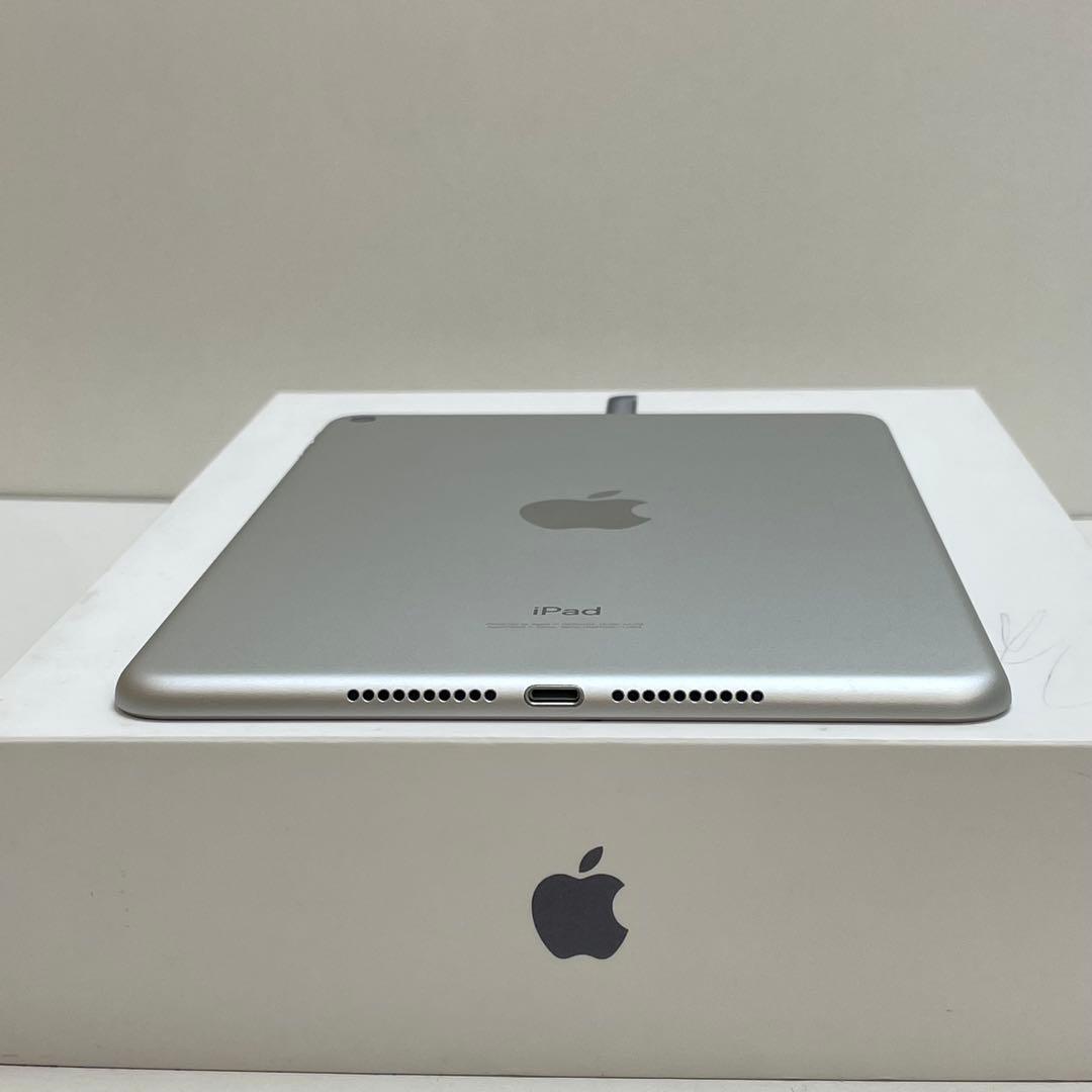 iPad Mini 第5世代 64GB Wi-Fi 100%