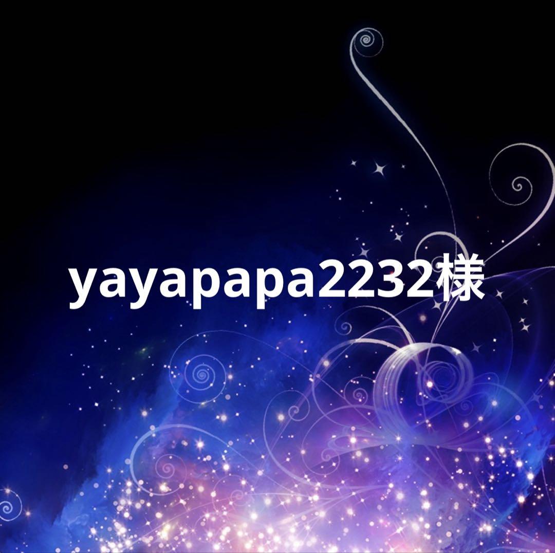 yayapapa2232様専用 H10