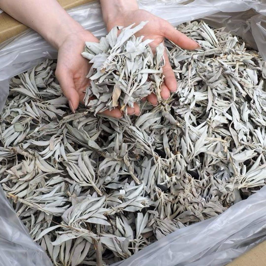 激安お買い得☆400g＜浄化☆邪気祓い☆カリフォルニア産ホワイトセージ枝付き＞