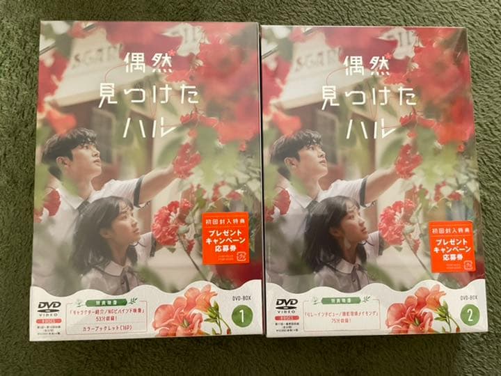 限定販売】 外国映画-偶然見つけたハル DVDBOX 1.2セット - www ...