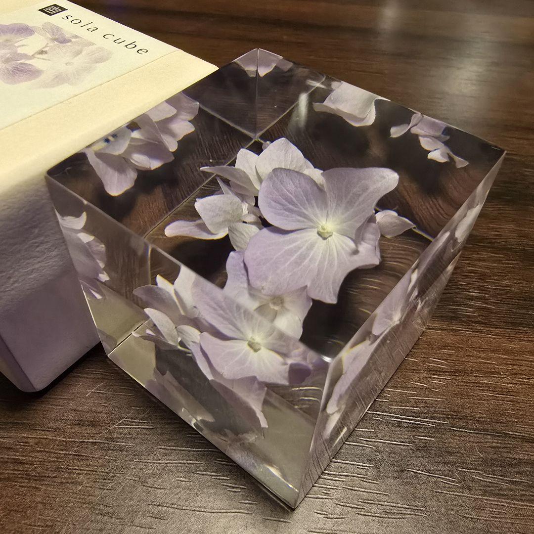 【セット】ソラキューブ 紫陽花 ＋ ライトベース maru