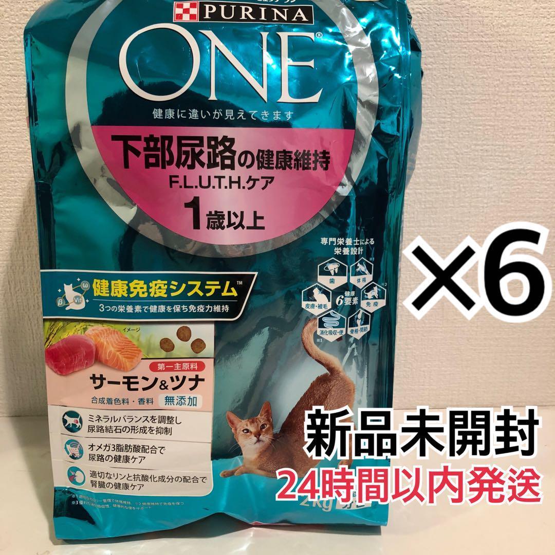 ピュリナワンキャット 下部尿路の健康維持FLUTH サーモン&ツナ(4袋入×6)