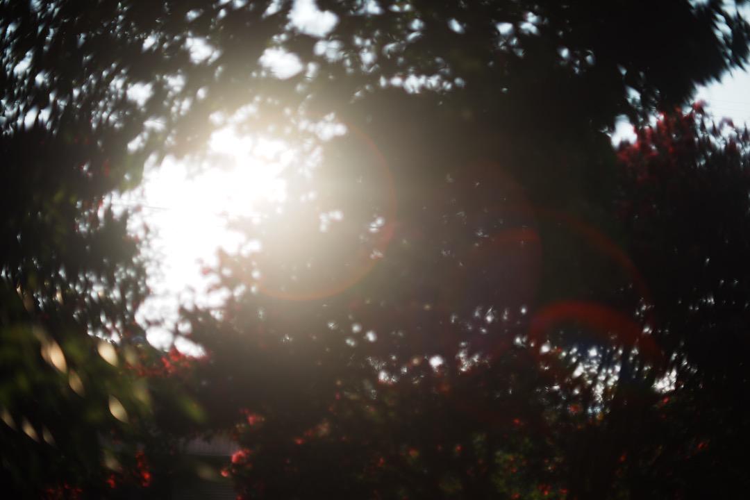 【miiさん専用】動作◎ Canon FD 50mm F1.4 S.S.C 73