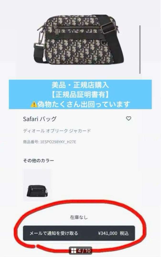 【正規品・証明書付き】Dior Safari バッグ ショルダーバッグ