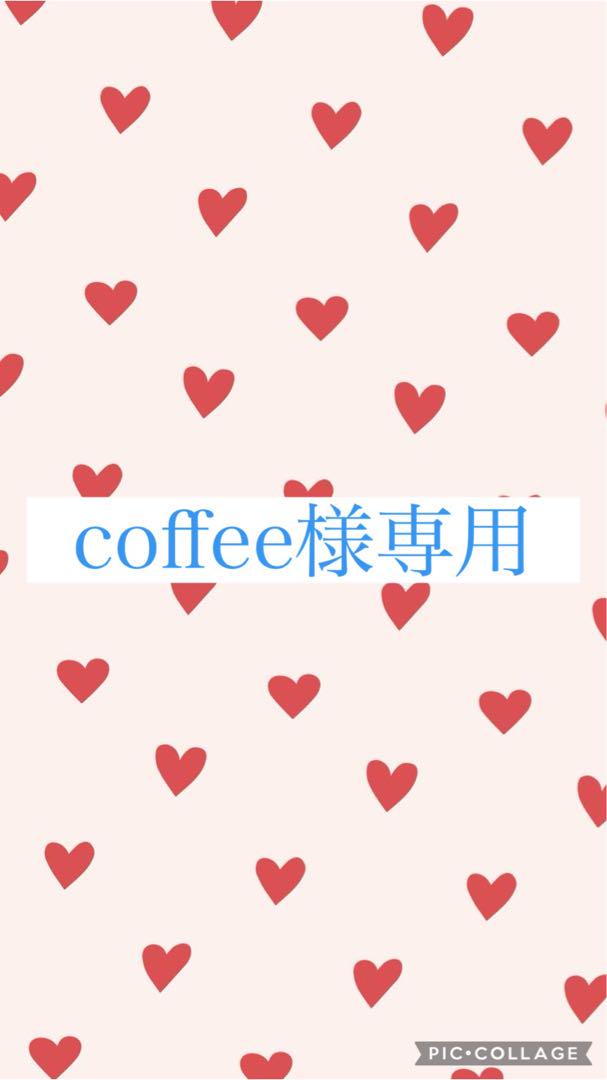新品セリーヌCELINE Tシャツコットンジャージ素材