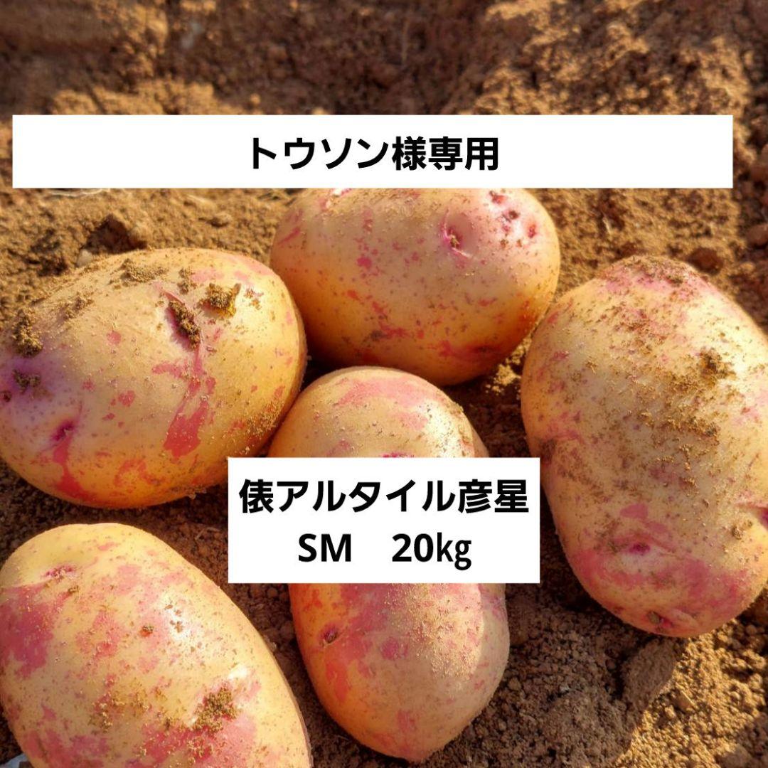 トウソン様専用！長崎県産俵アルタイルじゃがいもSM　20㎏野菜