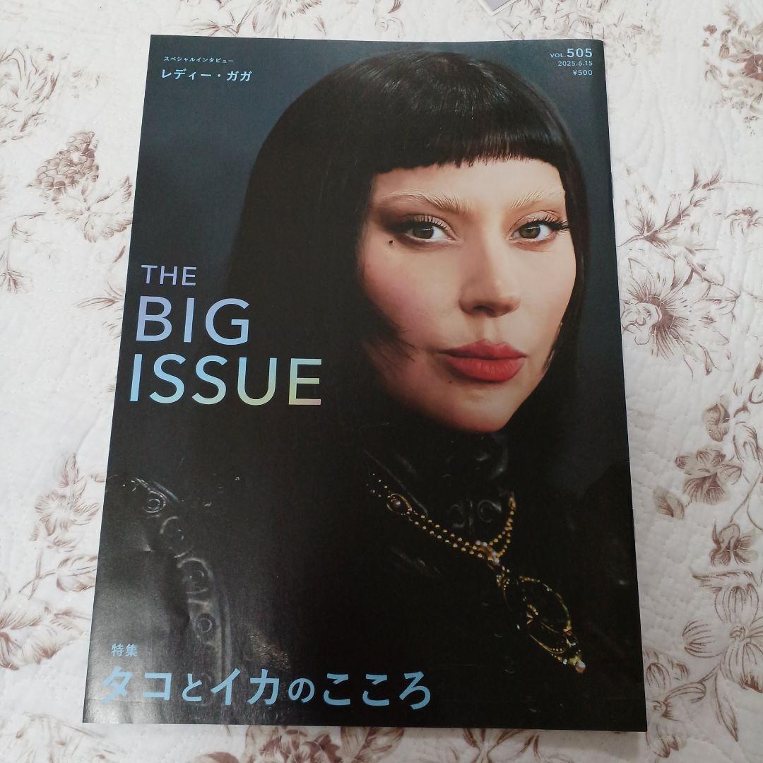 Big Issue　ビッグイシュー　 2005年～2008年　25冊 Big Issue ビッグイシュー 2005年～2008年 25冊 その他