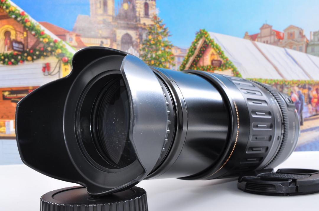 瞬間激写！永久保存 Canon キヤノン 望遠レンズEF100-300mm#③ 瞬間激写！永久保存 Canon キヤノン 望遠レンズEF100-300mm#3
