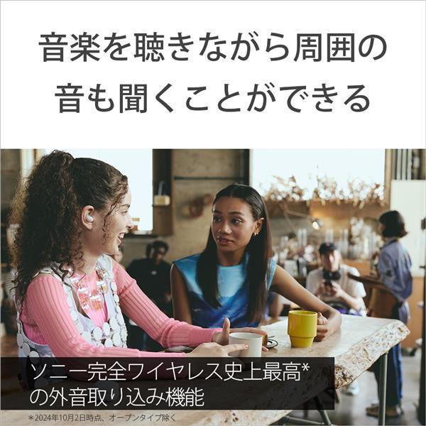 SONY イヤホン 完全ワイヤレス ブラック WF-LS910N-BZ