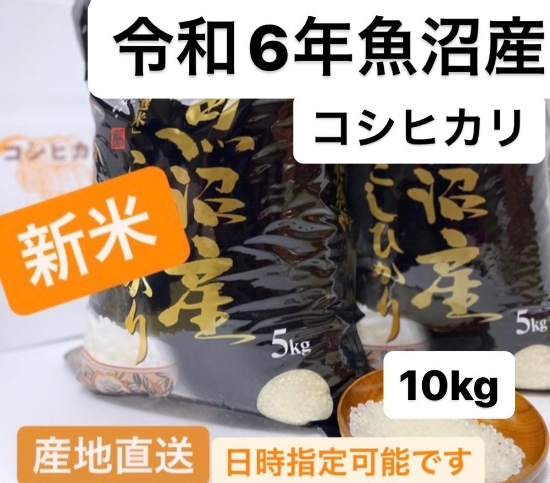 【新米】令和6年産 魚沼産コシヒカリ 10kg　農家のお米