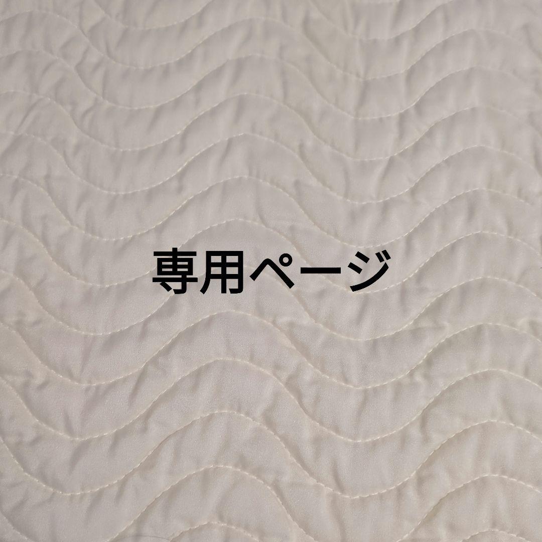 嵐 専用ページ