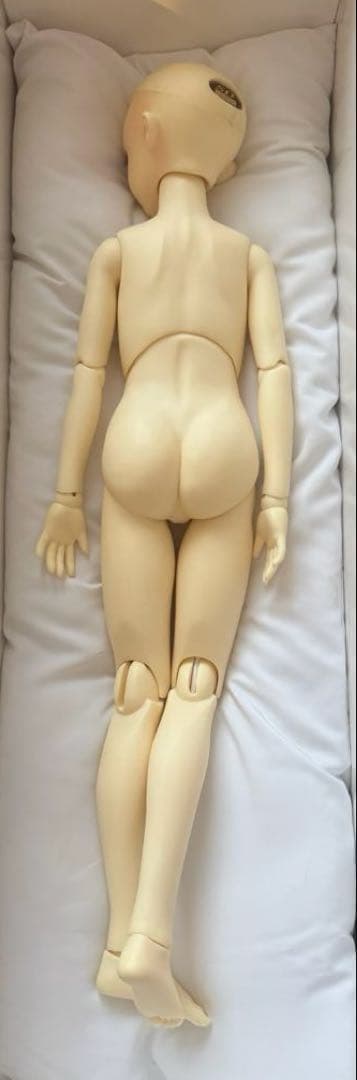 リーゼロッテ造形村 volks