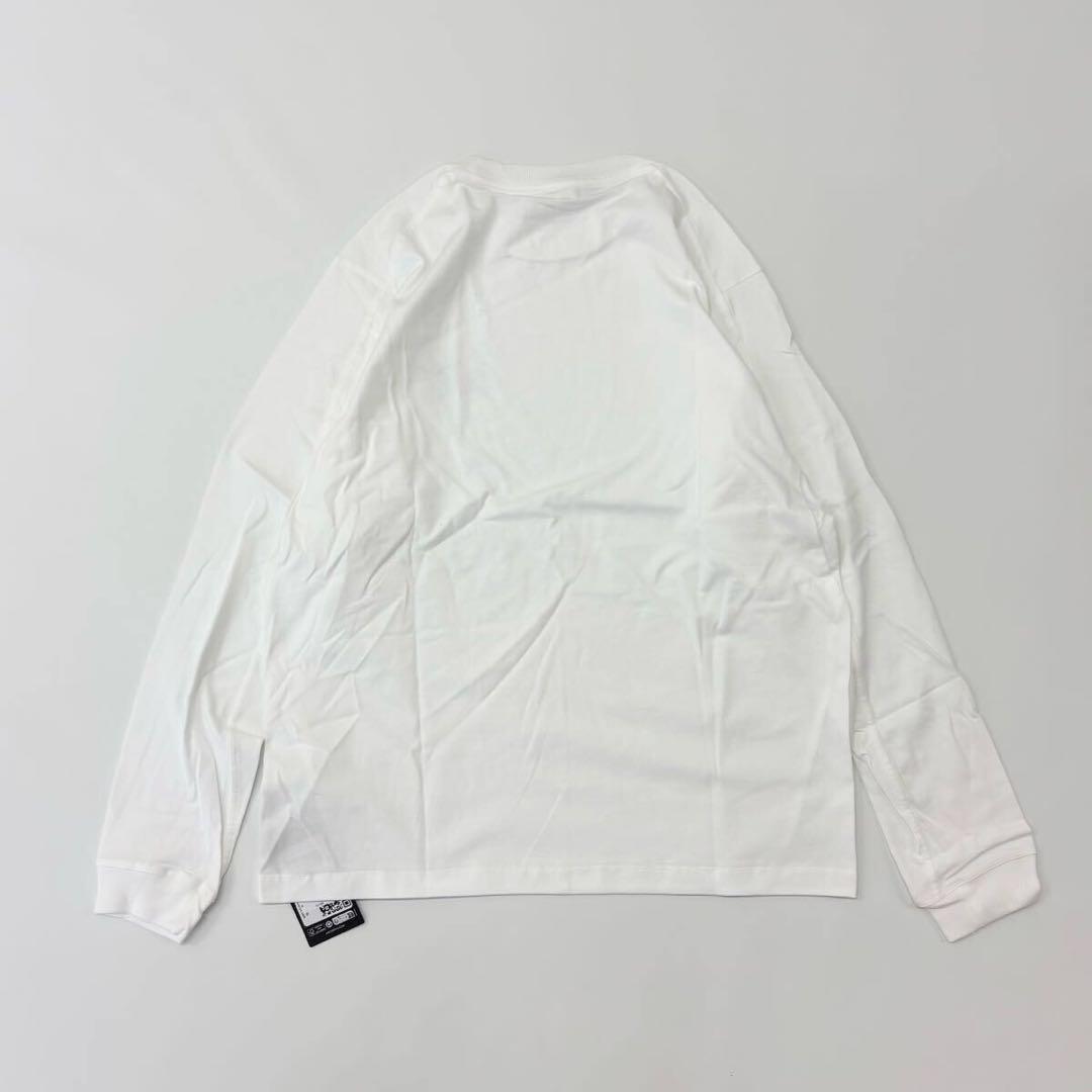 25ss 新品 アークテリクス クラッグ コットン ロングスリーブ ロンT M