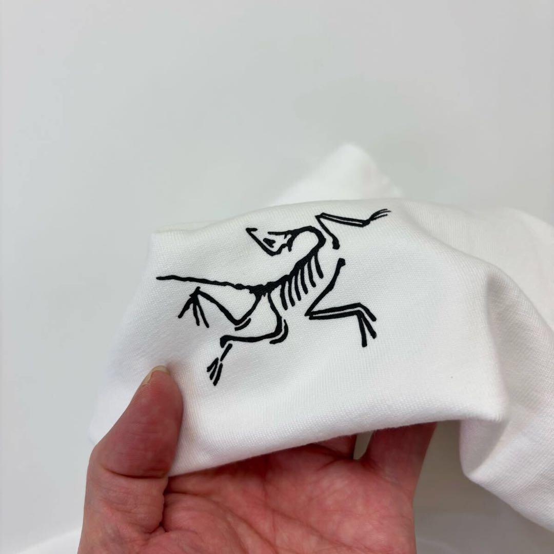25ss 新品 アークテリクス クラッグ コットン ロングスリーブ ロンT M