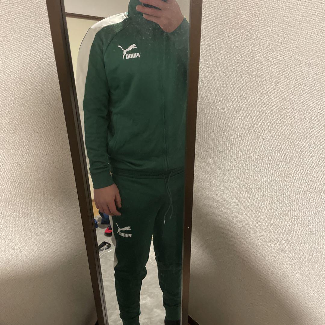 PUMA セットアップ