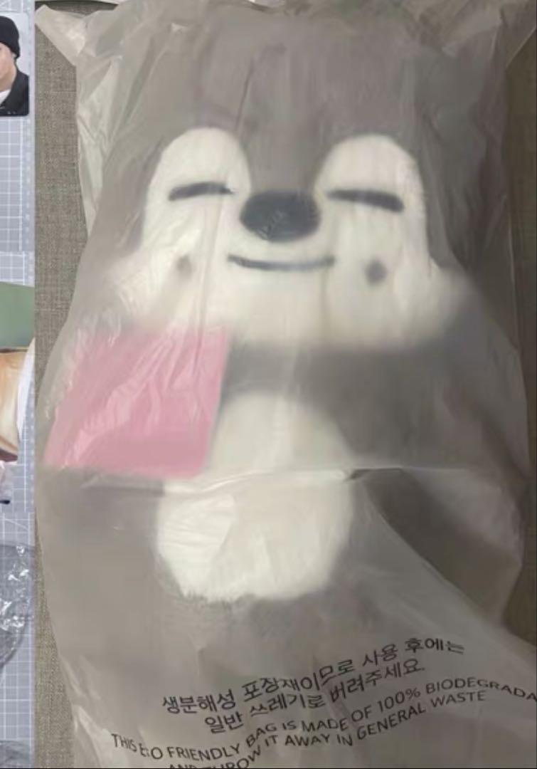 StrayKids スキズ SKZOO ウルフチャン テディベア ぬいぐるみ straykids スキズ テディベア SKZOO ウルフチャン teddy - メルカリ