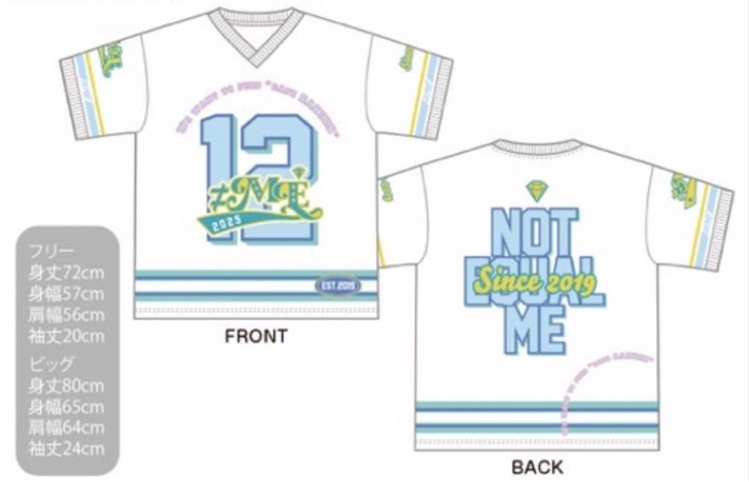 ミニチャンプス ジャンカルロ・フィジケラ 2008 直筆サイン 1/43 ミニチャンプス ジャンカルロ・フィジケラ 2008 直筆サイン 1/43