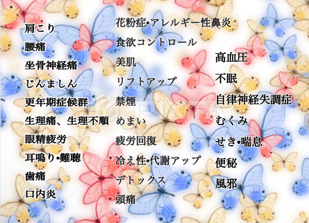 耳ツボジュエリーガイドブック(アクアマリン)