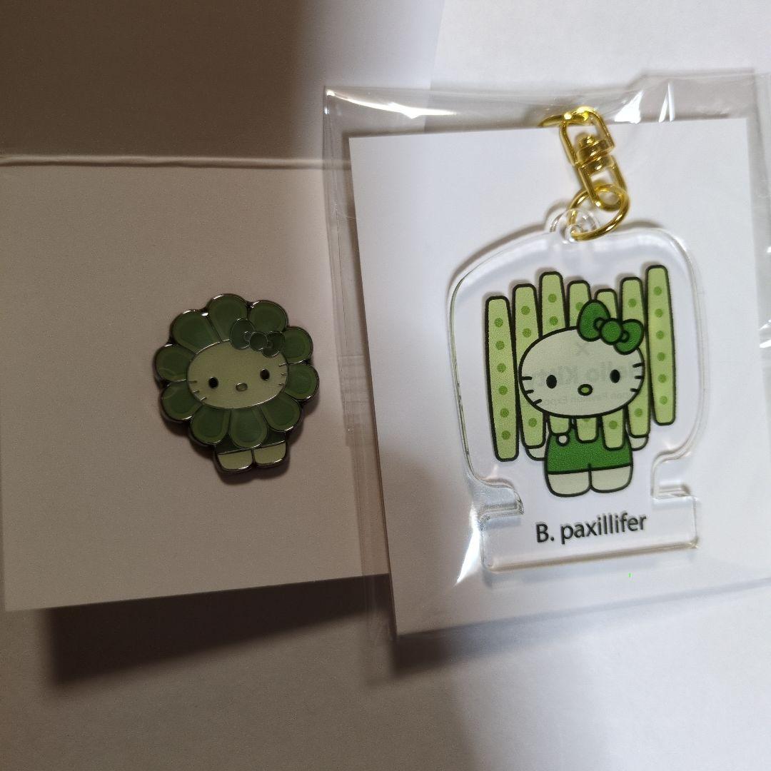 大阪万博限定 日本館 キティ algae ピンバッジ&アクリル