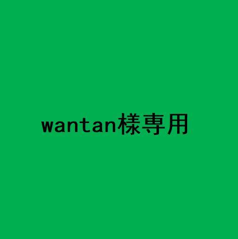 トップス wantan