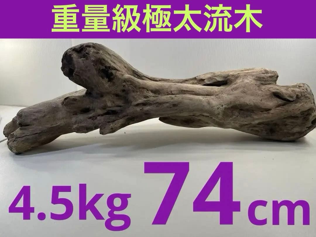 流木388　昆虫爬虫類　パルダリウム　ビオトープ　超美品シェルター　アク抜き済 流木388 昆虫爬虫類 パルダリウム ビオトープ 超美品シェルター