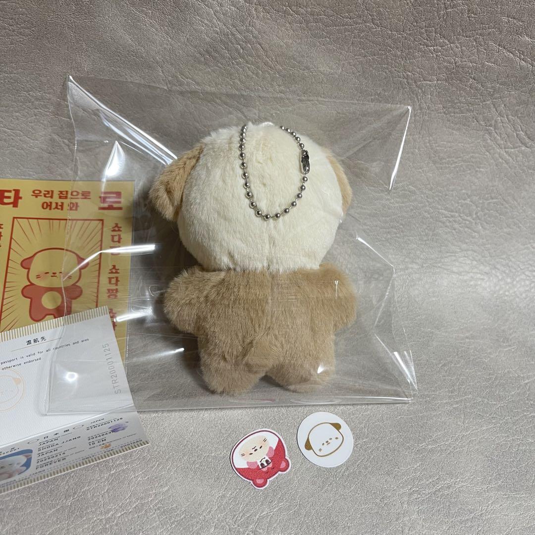RIIZE ショウタロ　10cm ぬいぐるみ　新品　マスター RIIZE ショウタロウ リズコ ぬいぐるみ 人形 マスター 10cm 2025
