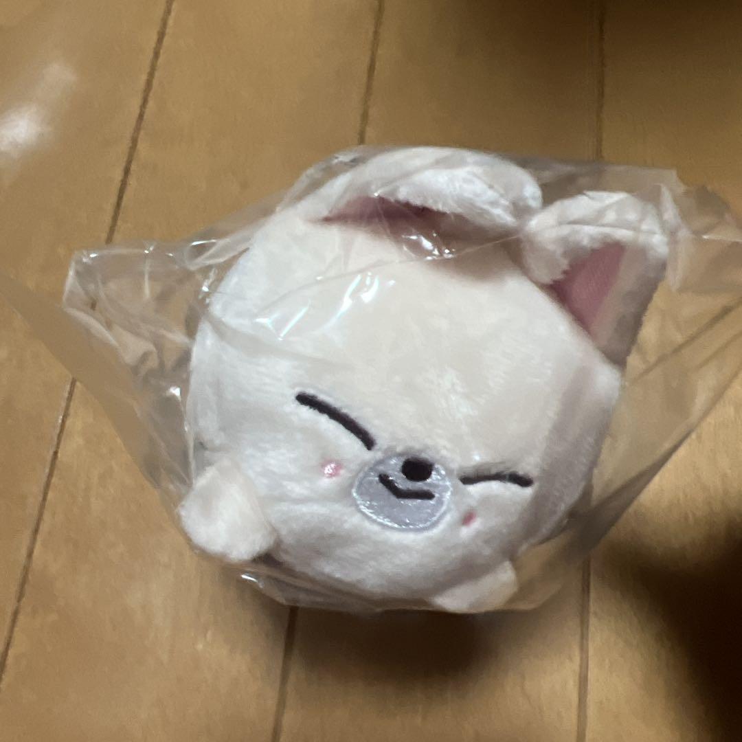SKZOO アイエン FoxI.Ny ミニバッグチャーム ファクシニー