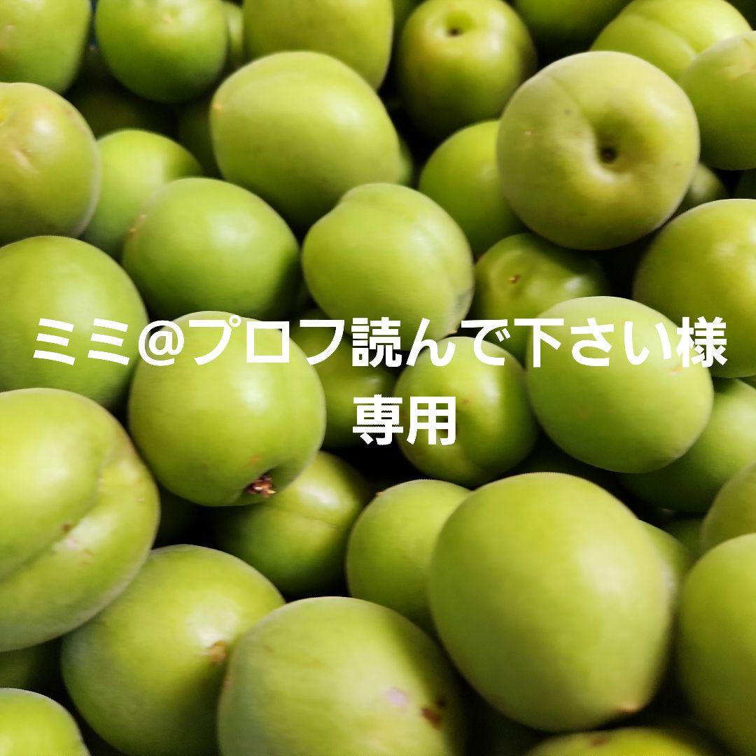 ミミ@プロフ読んで下さい様　専用　宮崎県産　福じいちゃんの青梅